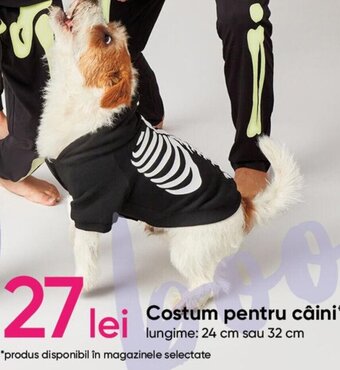 Costum pentru câini* lungime: 24 cm sau 32 cm