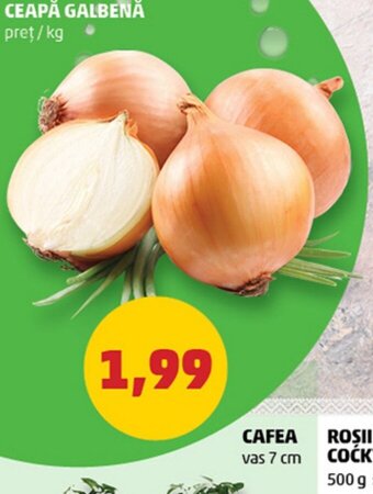 Penny CEAPĂ GALBENĂ Ofertă