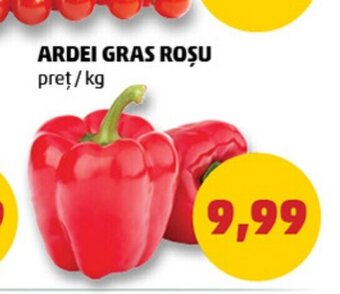 Penny ARDEI GRAS ROȘU Ofertă