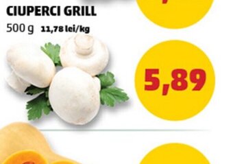 Penny CIUPERCI GRILL Ofertă