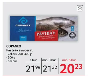 Selgros COPANEX Păstrăv eviscerat Ofertă