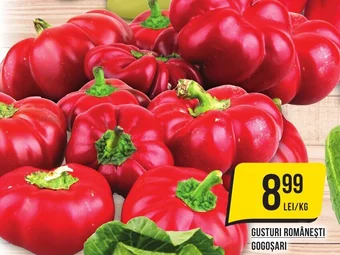 GUSTURI ROMÂNEŞTI GOGOŞARI