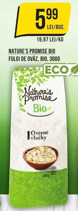 Mega Image NATURE'S PROMISE BIO FULGI DE OVĂZ, BIO, 300G Ofertă