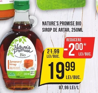 Mega Image NATURE'S PROMISE BIO SIROP DE ARTAR, 250ML Ofertă