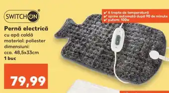 Kaufland Pernă electrică Ofertă