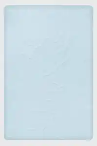 Favi Cearșaf de pat cu elastic albastru deschis albastru_deschis Ofertă