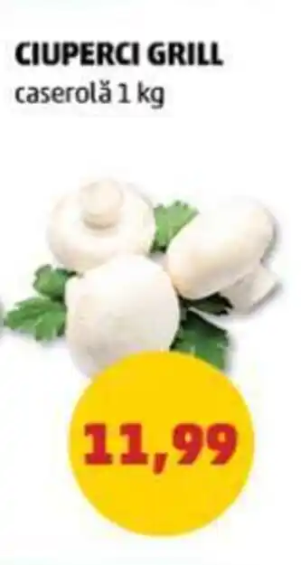 Penny CIUPERCI GRILL caserolă 1 kg Ofertă