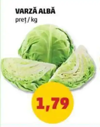 Penny VARZĂ ALBĂ pret/kg Ofertă