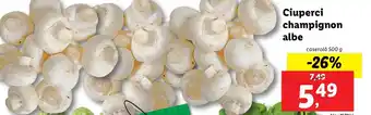 Lidl Ciuperci champignon albe Ofertă