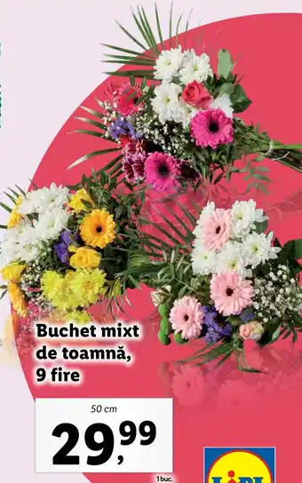 Lidl Buchet mixt de toamnă, 9 fire Ofertă