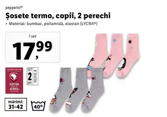 Lidl Șosete termo, copii, 2 perechi Ofertă