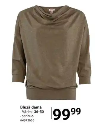 Selgros Bluză damă -Mărimi: 36-50 Ofertă