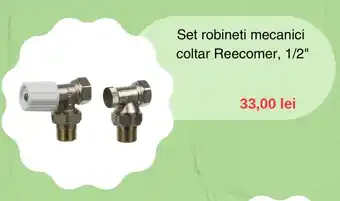 Leroy Merlin Set robineti mecanici coltar Reecomer, 1/2" Ofertă