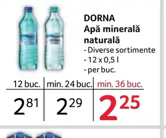 Selgros DORNA Apă minerală naturală Ofertă