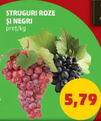 Penny STRUGURI ROZE ȘI NEGRI Ofertă
