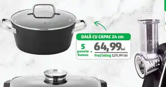 Penny OALĂ CU CAPAC 24 cm Ofertă