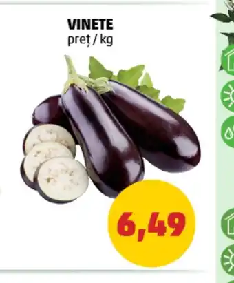 Penny VINETE Ofertă