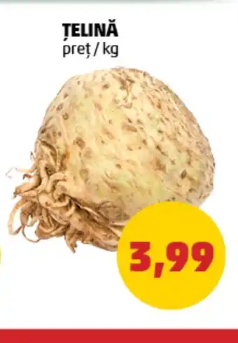 Penny TELINĂ pret/kg Ofertă