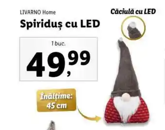 Lidl Spiriduş cu LED Ofertă