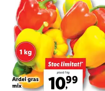Lidl Ardei gras mix Ofertă