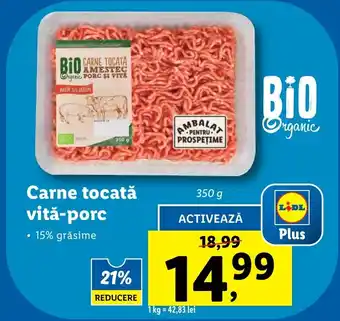 Lidl Carne tocată vită-porc Ofertă