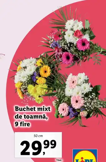 Buchet mixt de toamnă, 9 fire