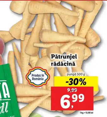 Lidl Pătrunjel rădăcină Ofertă