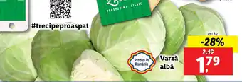 Lidl Varză albă Ofertă