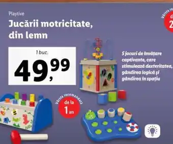 Jucării motricitate, din lemn