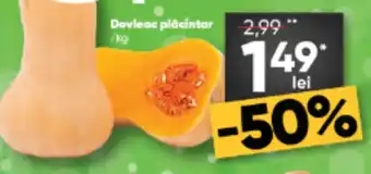 PROFI Dovleac placintar Ofertă