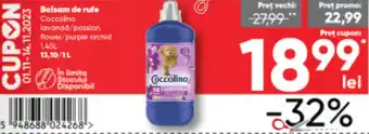 PROFI Balsam de rufe Ofertă
