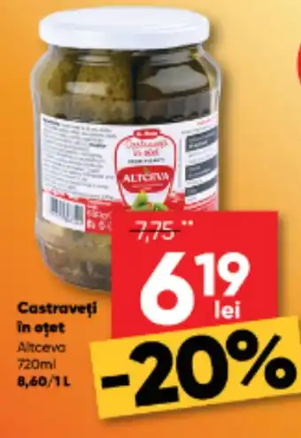 PROFI Castraveţi in oţet Ofertă