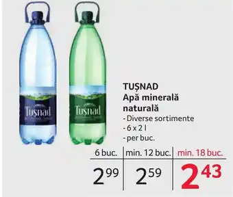 Selgros TUŞNAD Apă minerală naturală Ofertă