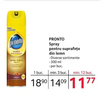 Selgros PRONTO Spray pentru suprafețe din lemn Ofertă