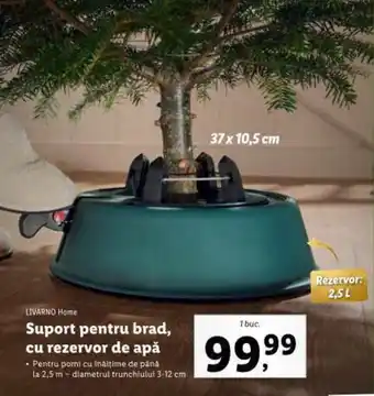 Suport pentru brad, cu rezervor de apă