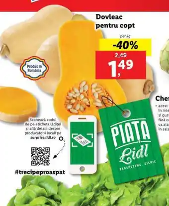 Lidl Dovleac pentru copt Ofertă