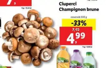 Lidl Ciuperci Champignon brune Ofertă