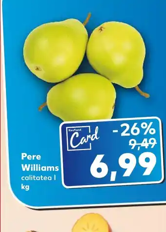 Kaufland Pere Williams Ofertă