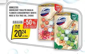 Mega Image ODORIZANT TOALETĂ DHALIA DOMESTOS Ofertă