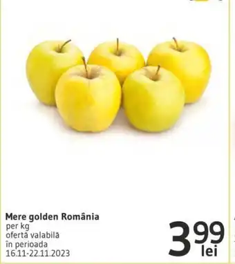 Supeco Mere golden România Ofertă