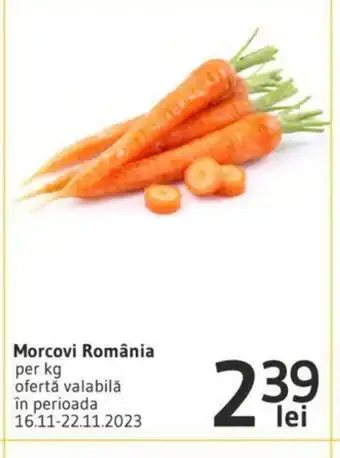 Supeco Morcovi România Ofertă