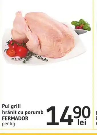 Supeco Pui grill hrănit cu porumb FERMADOR per kg Ofertă