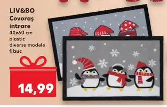 Kaufland LIV&BO Covoras intrare Ofertă