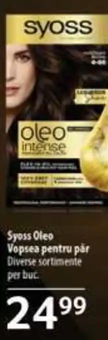 Selgros Syoss Oleo Vopsea pentru păr Diverse sortimente per but Ofertă