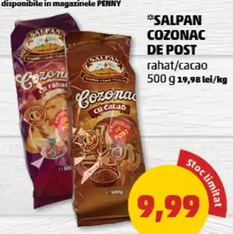 Penny *SALPAN COZONAC DE POST rahat/cacao 500 g 19,98 lei/kg Ofertă