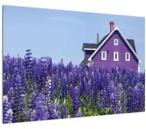 Tablou cu câmp de lavanda (90x60 cm)