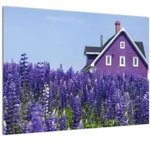 Tablou cu câmp de lavanda (70x50 cm)