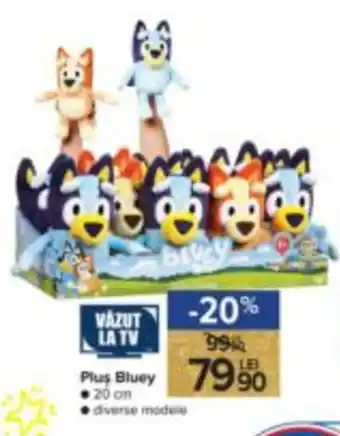 Carrefour Plus Bluey Ofertă