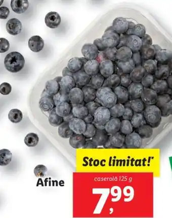 Lidl Afine Ofertă