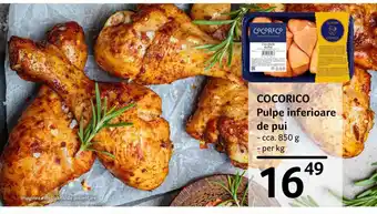 Selgros COCORICO Pulpe inferioare de pui Ofertă